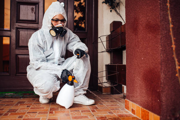 Reliable Cockroach Control contractor in Washington Court House, OH by Nex Pest Control