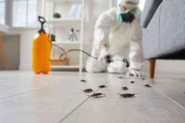Trusted Cockroach Control service in Washington Court House, OH - Nex Pest Control