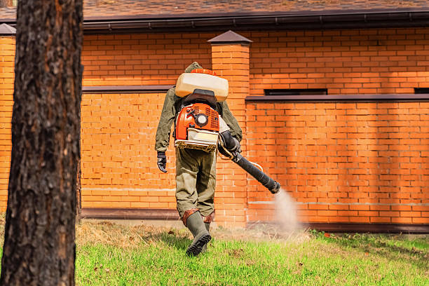 Trusted Termite Control service in Washington Court House, OH - Nex Pest Control